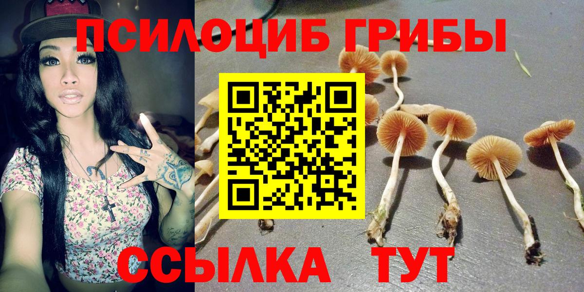 Псилоцибиновые грибы мицелий  Галлюциногенные грибы GOLDEN TEACHER  Вход с VPN  где купить наркотик  Анапа 