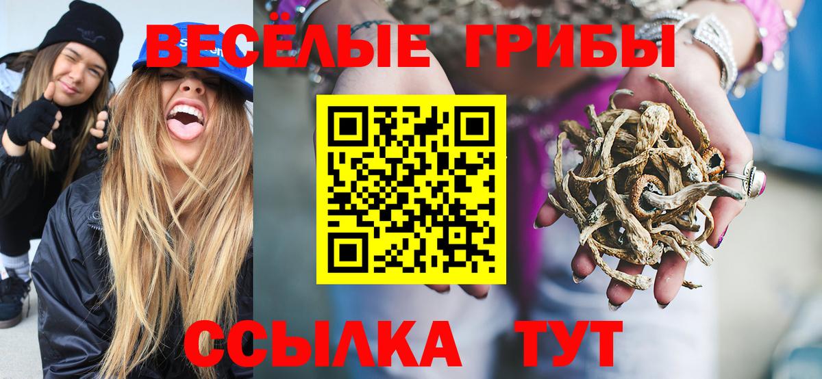 Галлюциногенные грибы Cubensis Анапа